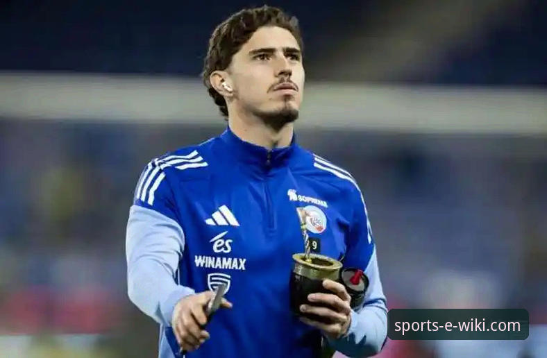 维基体育互动体验 帕尼切利重伤无缘世界杯:一次战术损失与平台观赛体验的深度分析